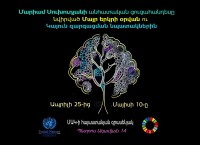 Mariam Sukhudyan's exhibition at UN Armenia