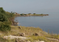 The Garbage Accumulated on the Shore Near the Rest House of the Artists' Union was Cleaned